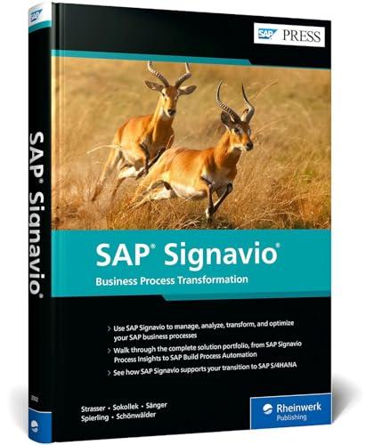 Unlocking Business Efficiency: Our Dive into SAP Signavio